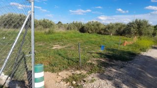 MOTOGP CHESTE 2026 — TERRENO PRIVADO PARA CAMPING