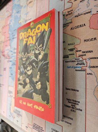 Manga Dragón Fall tomos 6 y 10