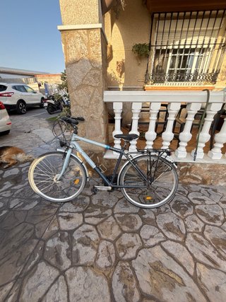 Bicicleta urbana gris