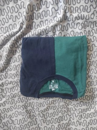 Camiseta Hollister bicolor azul y verde