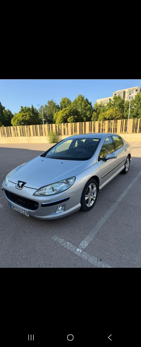 Peugeot 407 2004 - foto 1