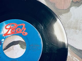 Vinile Pooh 45 giri International Pop Rock