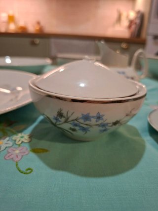 Vajilla antigua de porcelana floral