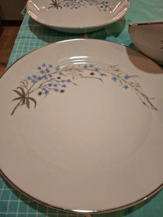 Vajilla antigua de porcelana floral