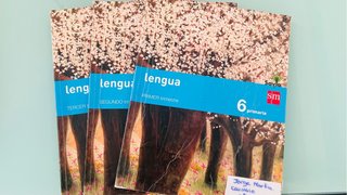 Libro lengua 6 primaria s m