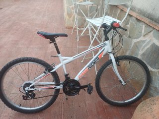 Bicicleta Freerider 24