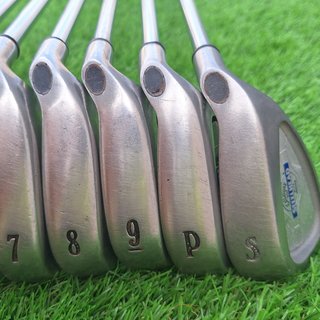 Hierros 4-SW Callaway Steelhead X-14 Golf