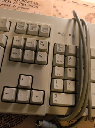Teclado IBM KB 7943 Beige/Gris