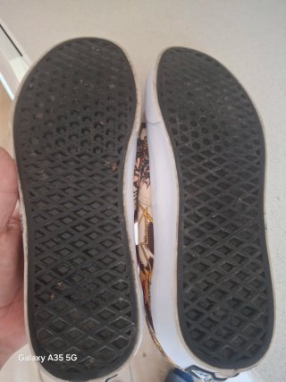 Zapatillas Vans Beige Multicolor