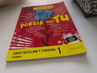 Lengua castellana y literatura 1 Secundaria