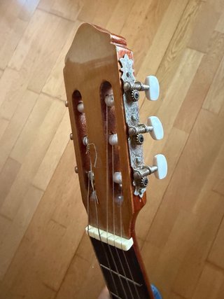 Guitarra clásica Raimundo 106