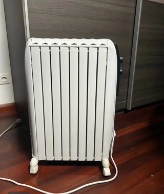 Calefactor Delonghi Dragón 4