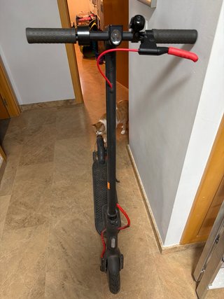 Patinete Eléctrico Xiaomi