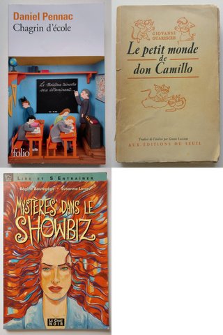 Libros en Frances (Lote I)