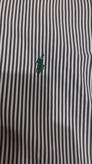 Camicia Polo Ralph Lauren a righe