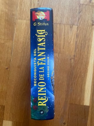 Reconquista del Reino de la Fantasía. Décimo vi...
