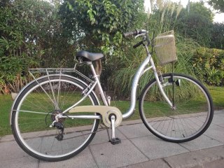 Bicicleta de paseo Monty plateada