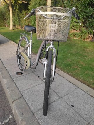Bicicleta de paseo Monty plateada