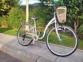 Bicicleta de paseo Monty plateada