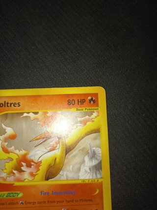 Moltres Skyridge Pokémon