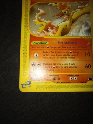 Moltres Skyridge Pokémon