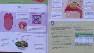 BIOLOGIA I GEOLOGIA 3 SEC CONSTRUINT MONS