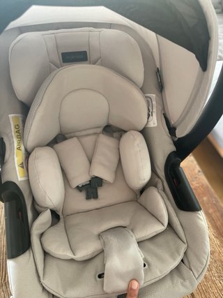 Silla coche Inglesina Darwin Recline i-Size