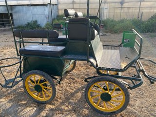 Coche de caballos 6 personas con techo