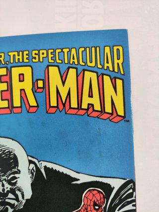 Peter Parker, The Spectacular Spider-Man 98