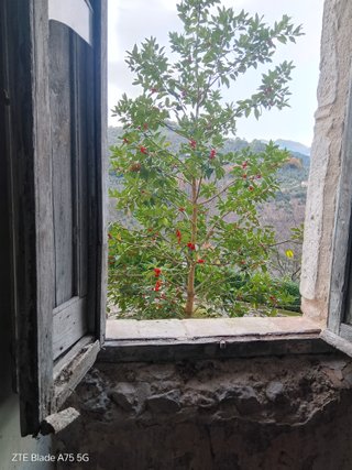 Trilocale in pietra da ristrutturare internamente