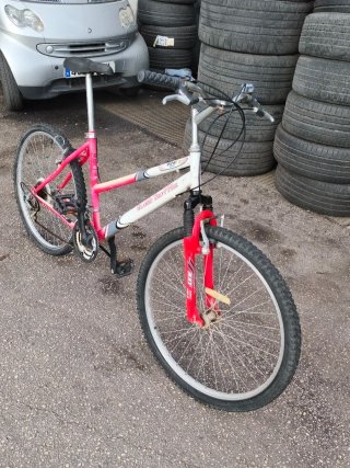 Bicicleta Globe Trotter