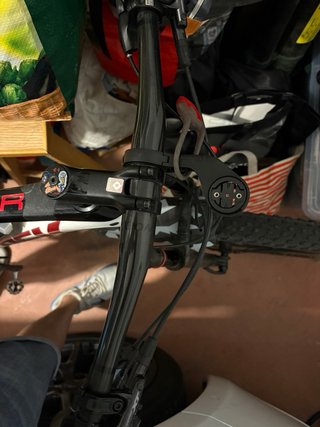 Trek Procaliber 9.8 L
