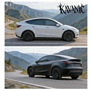 Tapacubos KAVANIC 19 Tesla Model Y