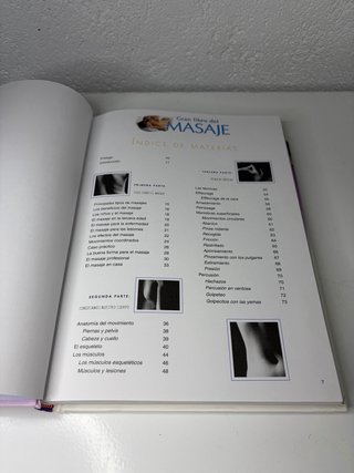 Gran libro del masaje