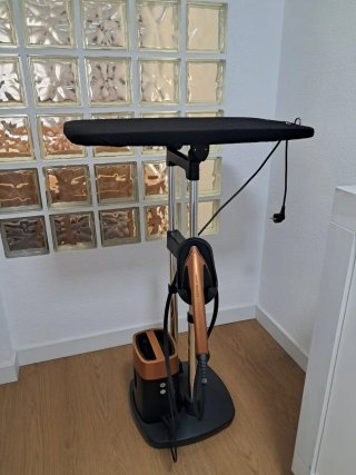 Plancha de vapor vertical Rowenta