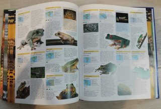 Grande Enciclopedia per Ragazzi - Animali (Volume