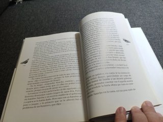 Don Quijote de la Mancha. Para Jóvenes
