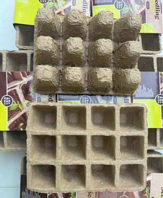 Semilleros Seedling Tray