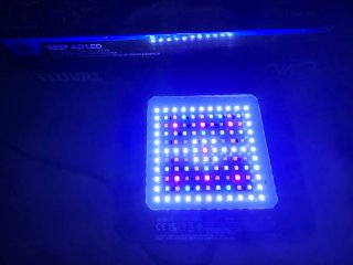 Fluval Nano 16879 - Lámpara LED Acuario Marino