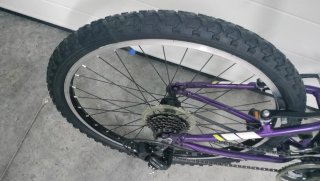 Bicicleta Trek 24 Morada