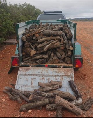 Leña de olivo para chimenea
