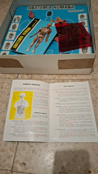 Juguete Anatomía Humana Desmontable Serima