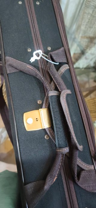 Violín Thomann 4/4 con funda