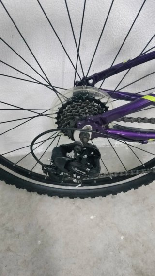 Bicicleta Niña Trek Morada