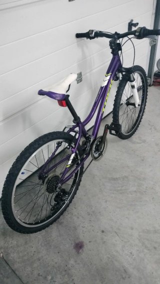 Bicicleta Trek Niña 24
