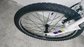 Bicicleta Trek 24 Morada