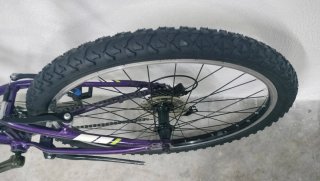 Bicicleta Trek 24 Morada