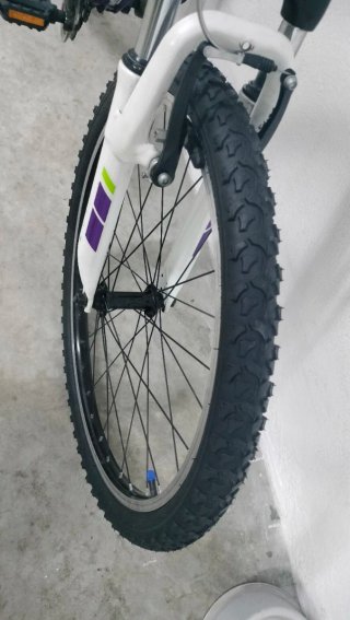 Bicicleta Trek 24 Morada