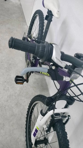 Bicicleta Trek 24 Morada