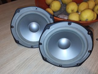 Infinity Beta woofer(2 unidades)potencia calidad